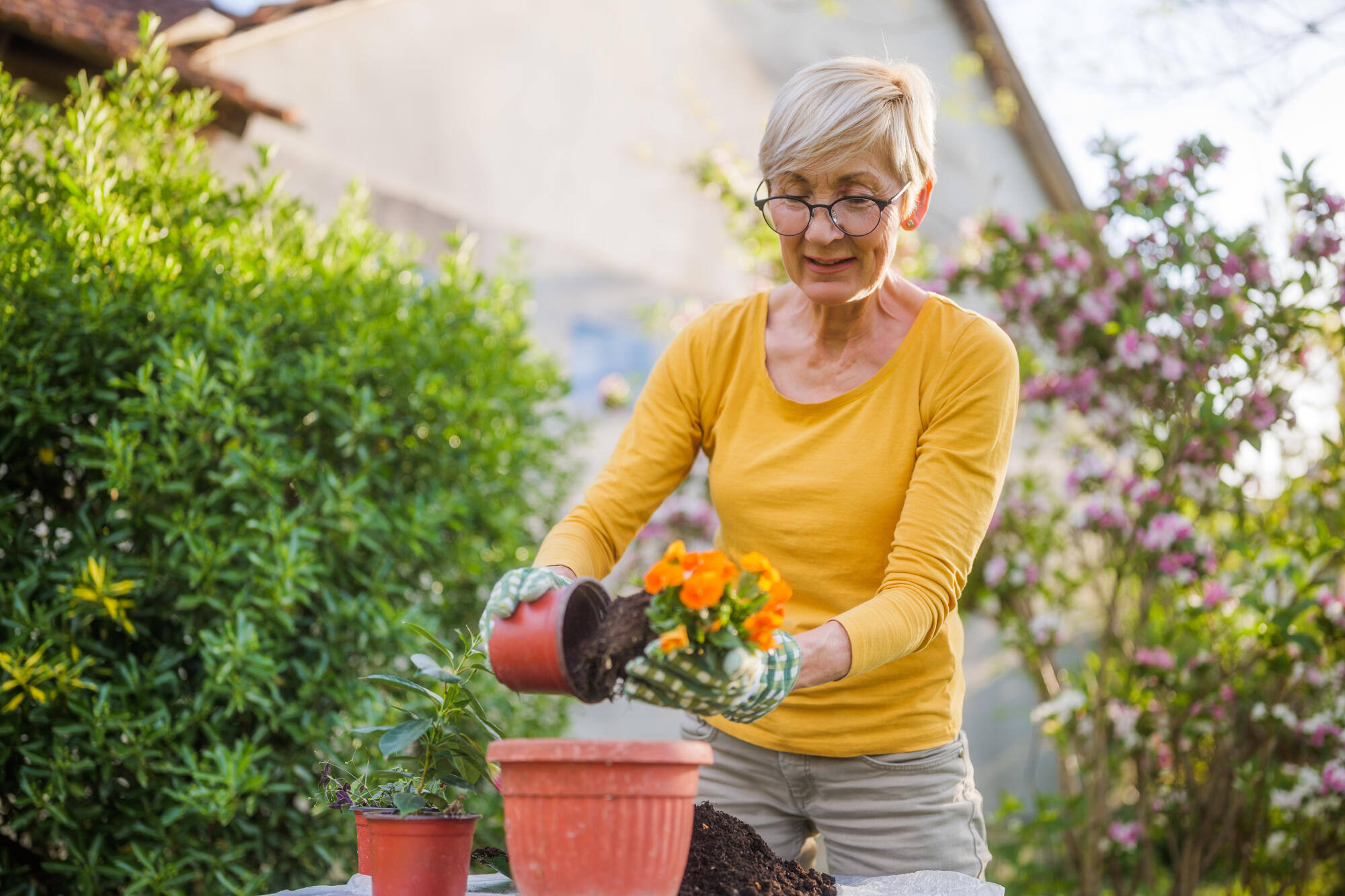 Gardening Clubs: A Social Haven for Elderly Green Thumbs